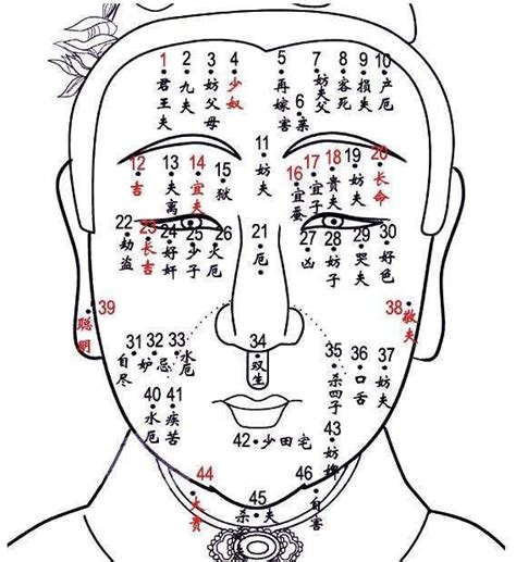 痣 意思|痣